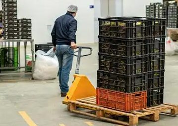 無錫水果批發市場商戶們用手動液壓搬運車搬運貨物